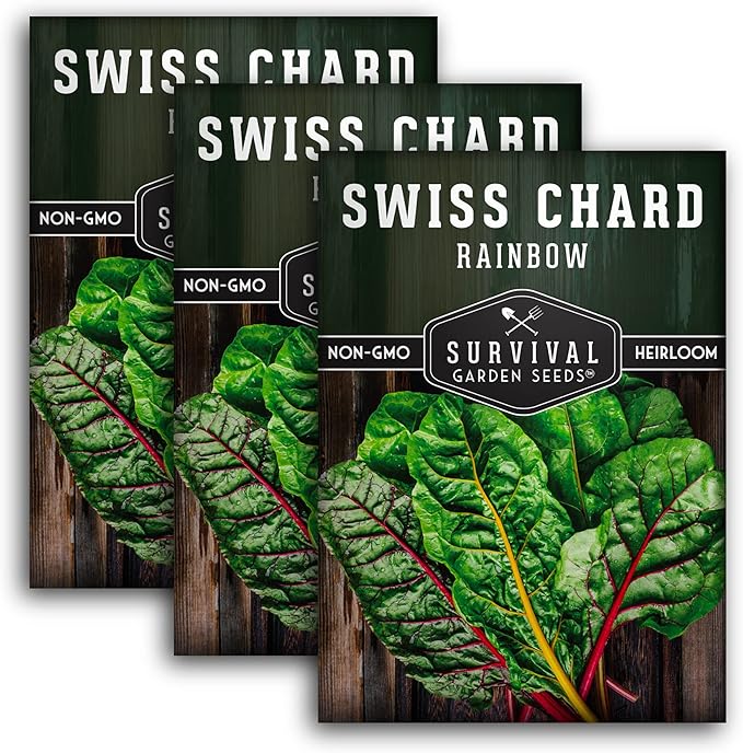 Survival Garden Seeds - Rainbow Swiss Chard Seed for Planting - 3 Packs with Instructions to Plant and Grow Colorful Stalked Vegetable Greens in Your Home Vegetable Garden - Non-GMO Heirloom Variety