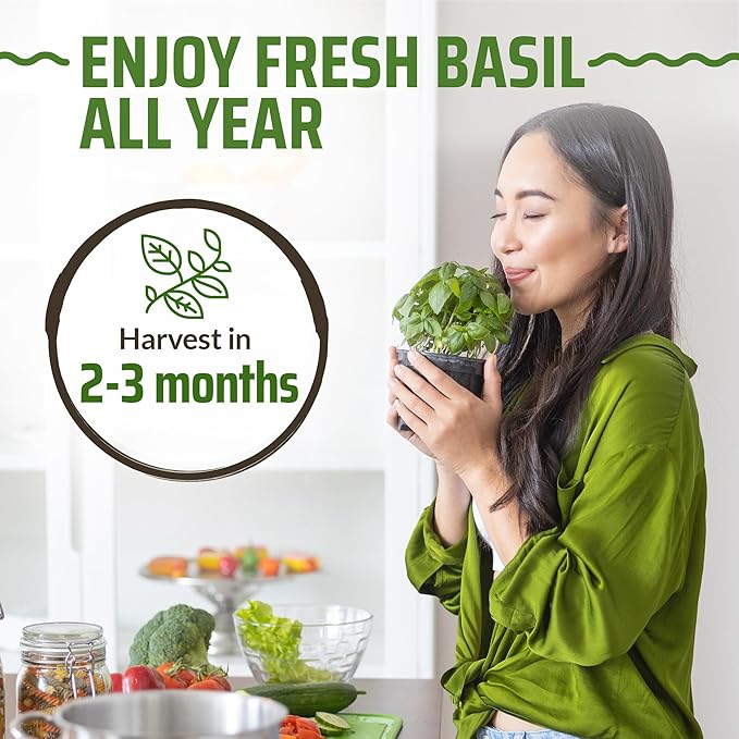 Rooted Acre 8 Basil Seeds Pack - 4000 High Germinating Fresh Basil Seeds - Thai, Genovese, Lemon, Tulsi Holy Basil, & More Culinary Herb Seeds - Non GMO, USA Heirloom Basil Seeds for Planting