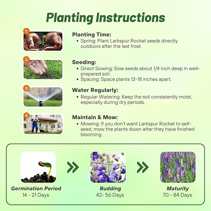 Outsidepride 1 lb. Delphinium Rocket Larkspur Wild Flower Seed Mix for Planting