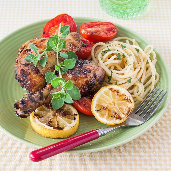 Bonnie Plants Italian Oregano Live Herb Plants, Perennial in Zones 5 to 10, Full Sun to Part Shade, 4 Pack