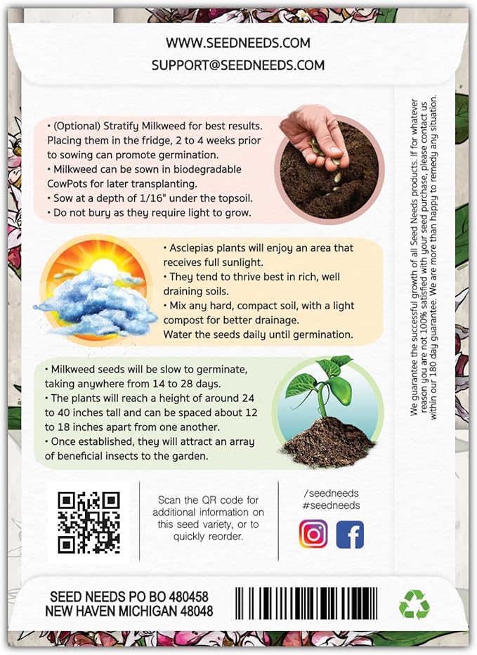 Seed Needs Showy Milkweed Seeds for Planting - Untreated & Open Pollinated, Attracts Monarch Butterflies in a Butterfly Garden (5 Packs)