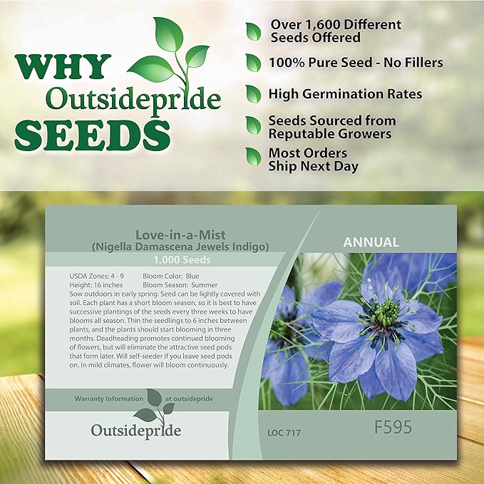 Outsidepride 2000 Seeds Annual Nigella Indigo Blue Love-in-a-Mist Flower Seeds for Planting