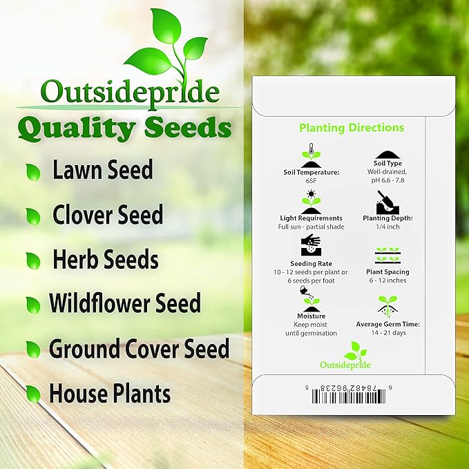 Outsidepride 2000 Seeds Blue Cornflower Bachelor's Button Dwarf Garden Flower Seeds for Planting