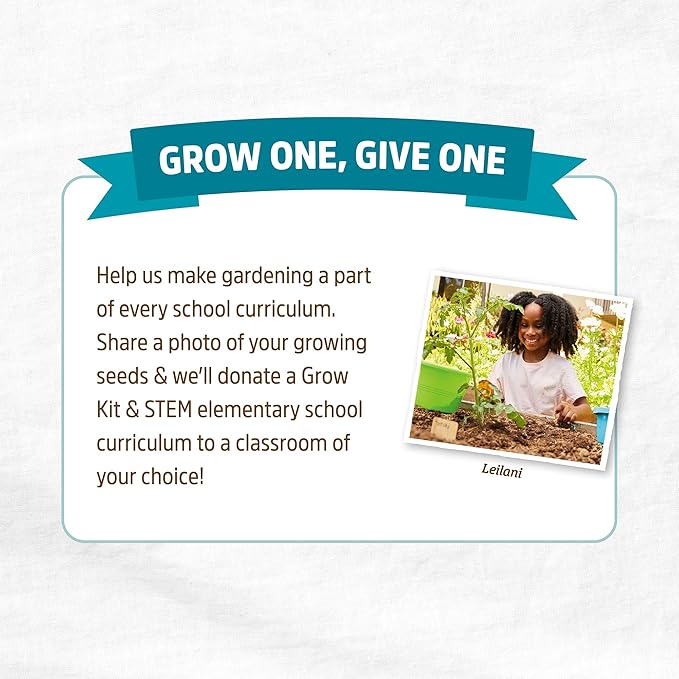 Back to the Roots Organic Herb Seeds Variety (5-Pack)