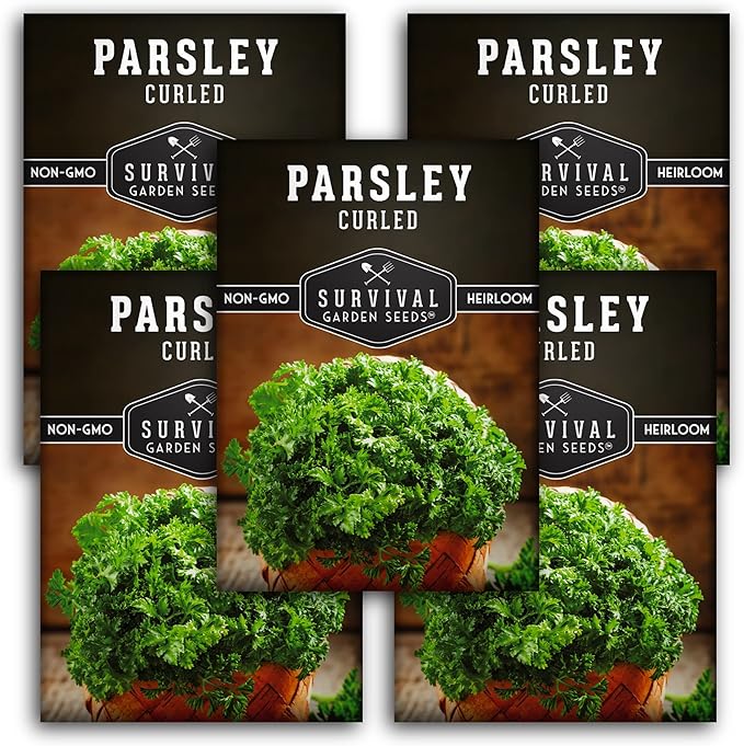 Survival Garden Seeds - Curled Parsley Seed for Planting - 5 Packs with Instructions to Plant and Grow Nutritious Curly Parsley Herb Plants in Your Home Vegetable Garden - Non-GMO Heirloom Variety