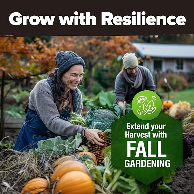 HOME GROWN 12 Fall Vegetable Seeds - USA Heirloom Non GMO Fall & Winter Vegetable Seeds for Planting Home Garden: Beets, Broccoli, Cabbage, Kale, Onion, Peas, Pumpkin, Turnip, Lettuce & More