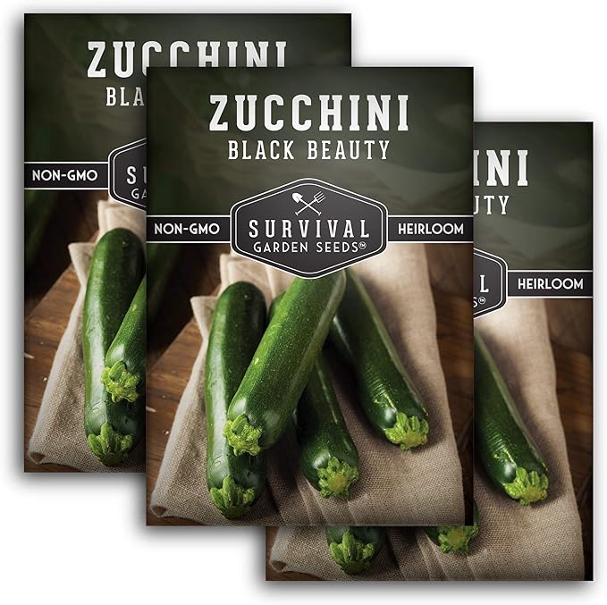 Survival Garden Seeds - Black Beauty Zucchini Seed for Planting -3 Packs with Instructions to Plant & Grow Dark Green Summer Squash Plants in Your Home Vegetable Garden - Non-GMO Heirloom Variety