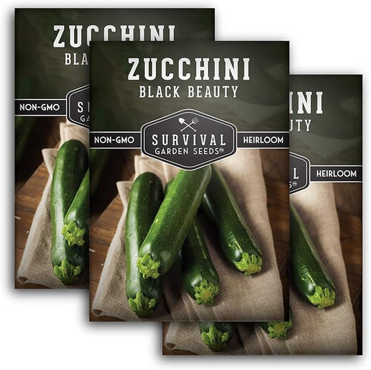 Survival Garden Seeds - Black Beauty Zucchini Seed for Planting -3 Packs with Instructions to Plant & Grow Dark Green Summer Squash Plants in Your Home Vegetable Garden - Non-GMO Heirloom Variety