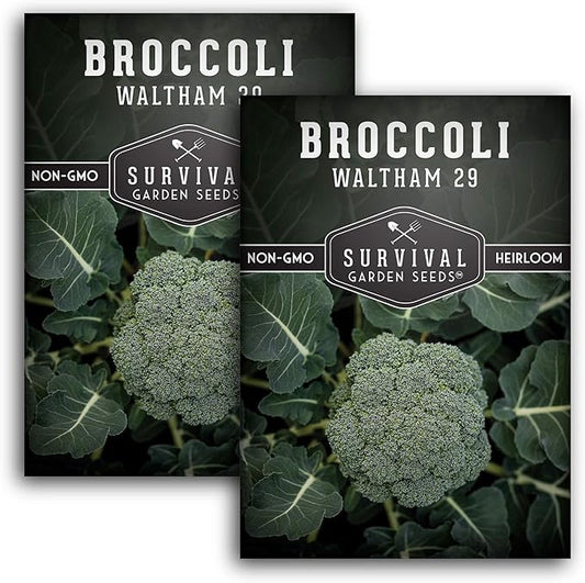 Waltham 29 Broccoli Seed for Planting - Packet with Instructions to Plant & Grow Cool Weather Broccoli in Your Home Vegetable Garden - Non-GMO Heirloom Variety - Survival Garden Seeds - 2 Pack