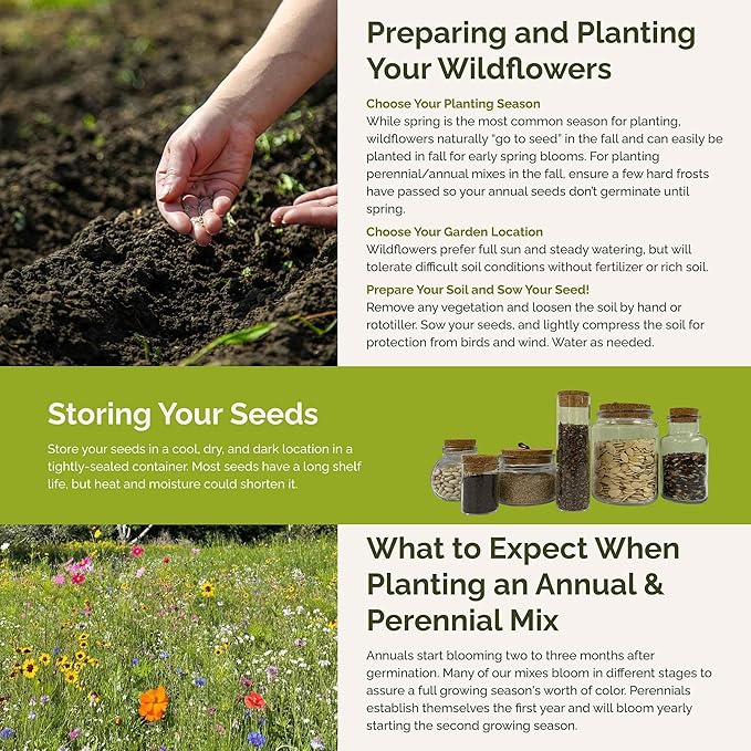 Eden Brothers Ohio Wildflower Mixed Seeds for Planting, 1/4 lb, 120,000+ Seeds with Sweet William, Cornflower | Attracts Pollinators, Plant in Spring or Fall, Zones