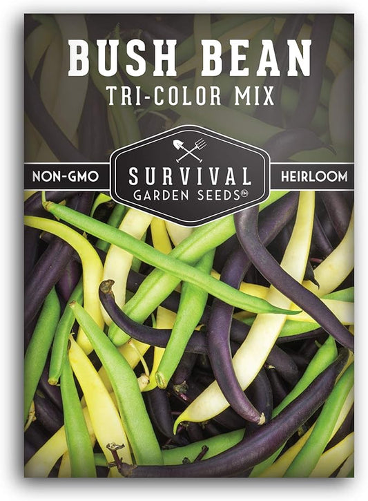 Survival Garden Seeds - Tri-Color Bean Seed for Planting - Packet with Instructions to Plant and Grow Yellow, Purple, and Green Bush Beans in Your Home Vegetable Garden - Non-GMO Heirloom Variety
