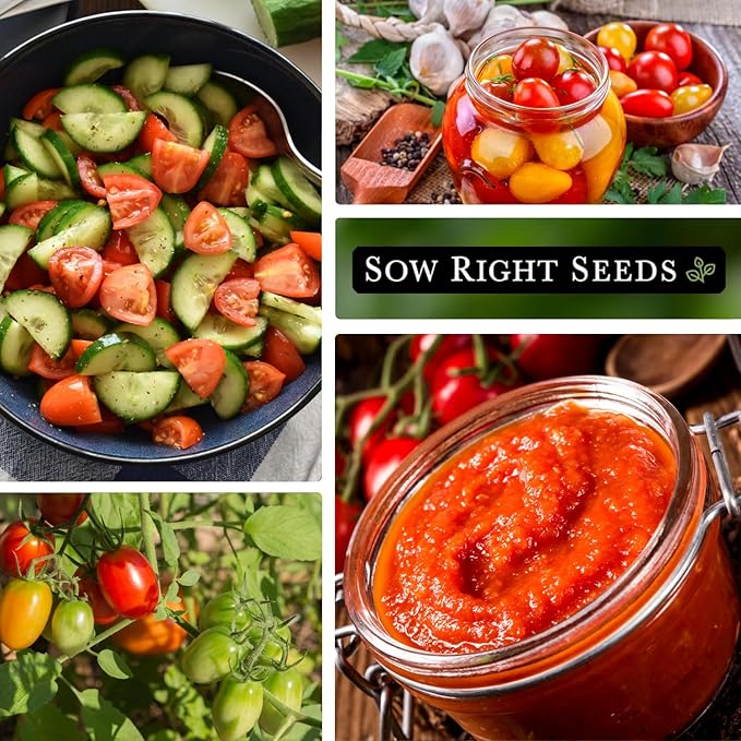 Sow Right Seeds - Rio Grande Tomato Seeds for Planting - Non-GMO Heirloom Packet with Instructions to Plant a Home Vegetable Garden - Red Cherry Variety for Snacking - Super Vigorous (1)
