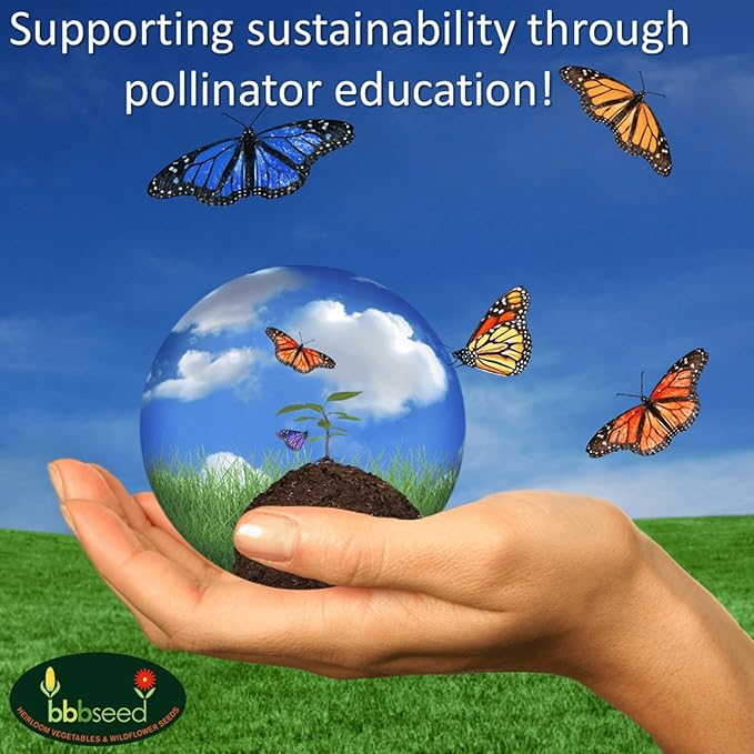 Partial Shade Wildflower Seeds -1 oz, Open-Pollinated Wildflower Seed Mix Packet, No Fillers, Annual, Perennial Wildflower Seeds Year Round Planting - 1 oz