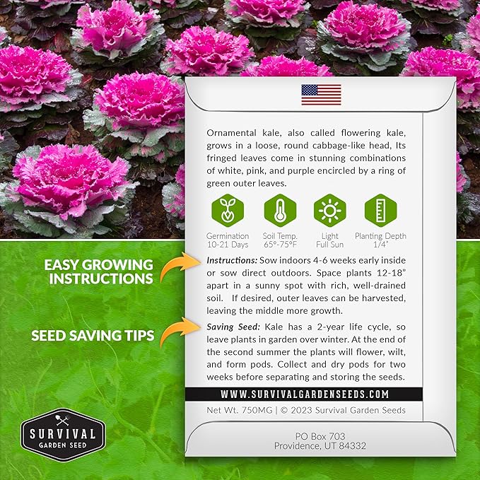 Ornamental Kale Seed for Planting - 5 Packets with Instructions for Growing Ornamental Flowering Kale Plants in Your Home Vegetable Garden - Non-GMO Heirloom Variety - Survival Garden Seeds