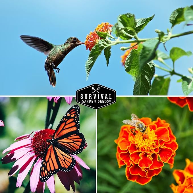 Survival Garden Seeds Pollinator Flower Collection - 3 Seed Packs for Planting & Attracting Butterflies, Bees, Hummingbirds - Nectar & Pollen Rich Perennial & Annual Wildflowers - Non-GMO Heirloom