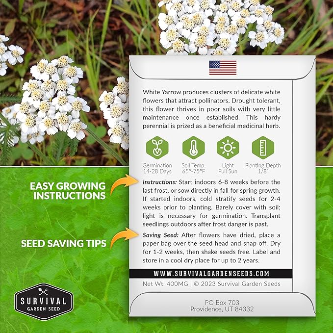 Survival Garden Seeds White Yarrow Seeds for Planting - 1 Packet with Instructions to Plant & Grow Beneficial Flowering Herbs in Your Home Vegetable Garden - Non-GMO Heirloom Variety