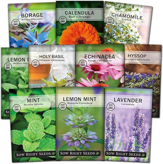 Sow Right Seeds - Large Herbal Tea Garden Seed Collection for Planting - Lemon Balm, Mint, Chamomile, Lavender, Echinacea, Borage, Hyssop, Calendula, and Holy Basil Tulsi - Non-GMO Heirloom to Grow