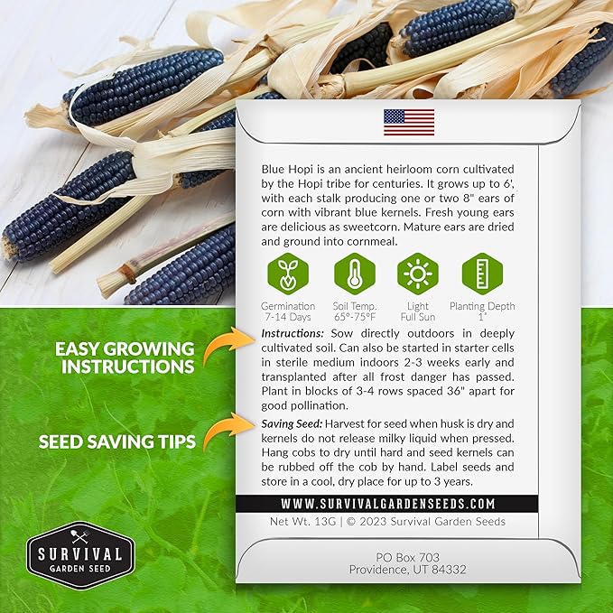 Blue Hopi Corn Seeds for Planting - 3 Packets with Instructions to Plant and Grow Heritage Blue Maize in Your Home Vegetable Garden - Non-GMO Heirloom Variety - Survival Garden Seeds