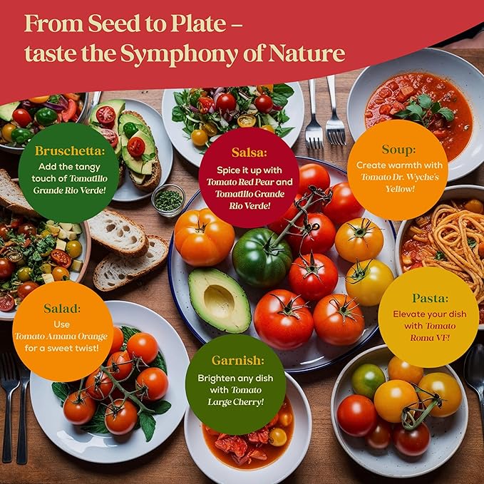 14 Tomatillo & Tomato Seeds for Planting Variety Pack - 990+ Non-GMO Heirloom Vegetable Seeds for Growing Tomato Indoor & Outdoor: Cape Gooseberry, Cherry, Flame, Roma, Pink, Beefsteak Tomatoes