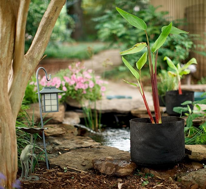 Smart Pot Pond Flexible Aquatic Plant Container for Water Gardening, 1 Gallon, Black