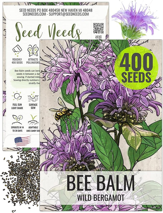 Seed Needs, Wild Bergamot Bee Balm Seeds - 400 Heirloom Seeds for Planting Monarda fistulosa - Attracts Honeybees, Bumblebees, Butterflies & Other Pollinators (1 Pack)