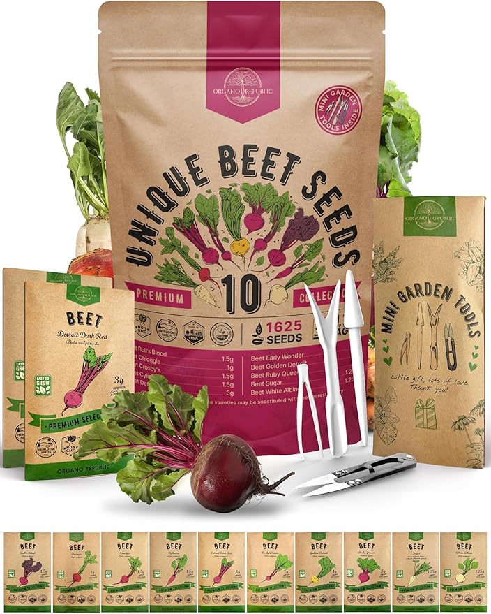 Organo Republic 10 Rare Beet Seeds Variety Pack for Planting Indoor & Outdoors 1625+ Heirloom Non-GMO Bulk Beets Gardening Seeds: Chioggia, Detroit Dark Red, Sugar, Cylindra, Bulls Blood, White Albino