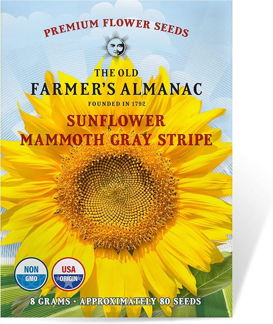 The Old Farmer's Almanac Sunflower Seeds (Mammoth Gray Stripe) - Approx 80 Flower Seeds - Premium Non-GMO, Open Pollinated, USA Origin