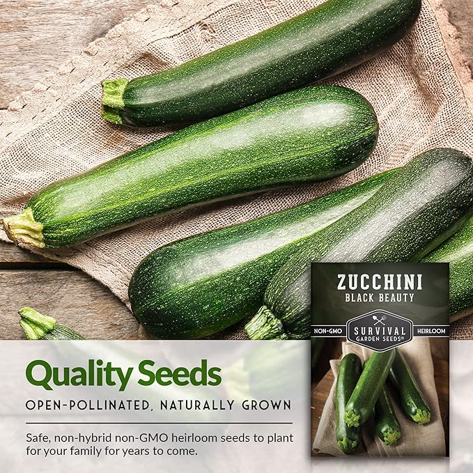 Survival Garden Seeds - Black Beauty Zucchini Seed for Planting -3 Packs with Instructions to Plant & Grow Dark Green Summer Squash Plants in Your Home Vegetable Garden - Non-GMO Heirloom Variety