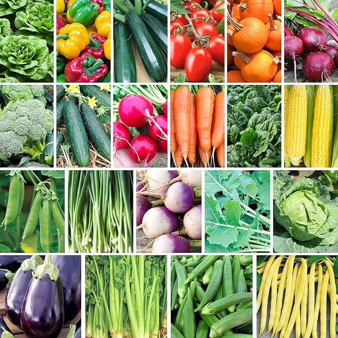 21 Varieties Vegetable Seeds for Planting, 7,000+ Heirloom Seeds Gift Pack, Non-GMO Veggies Seed Garden Kit for Indoor Outdoor Growing, Home Fresh Food Vegetable Supply