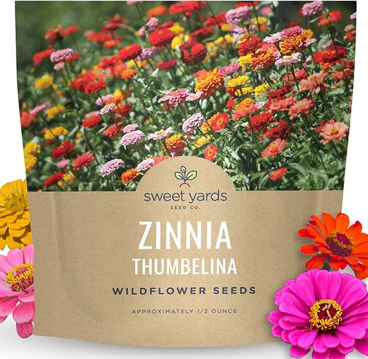 Zinnia Thumbelina Mix - Large 1/2 Ounce Packet - 2,500 Flower Seeds for Planting - Zinnia elegans