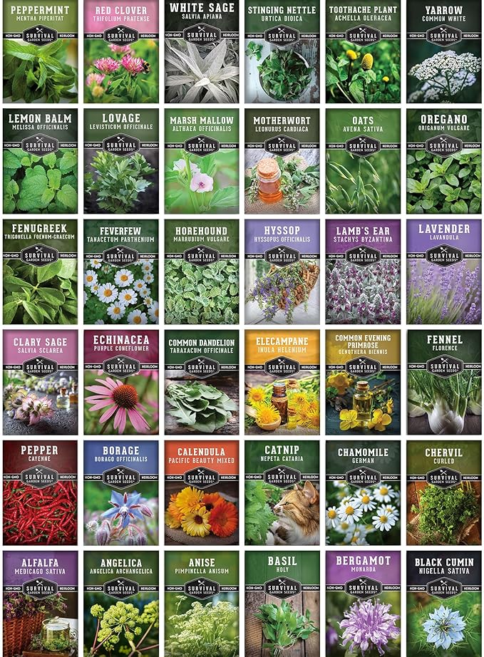 Ultimate Medicinal Herbs Collection - 36 Variety Pack of Herb Seeds for Growing Essential Healing Plants - Mixed Assortment for Homesteaders - Non-GMO Heirloom Varieties - Survival Garden Seeds