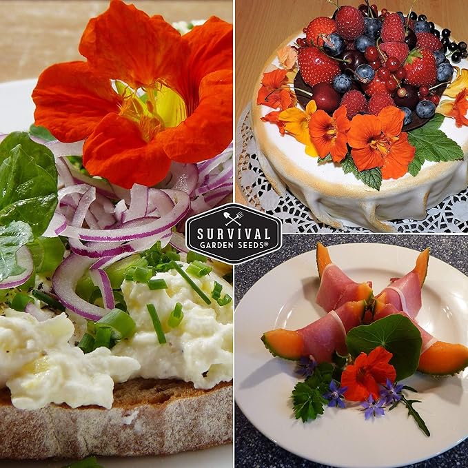 Survival Garden Seeds - Tip Top Mix Nasturtium Seed for Planting - 1 Pack with Instructions to Plant and Grow Edible Flowers & Companion Plants in Your Home Vegetable Garden - Non-GMO Heirloom Variety