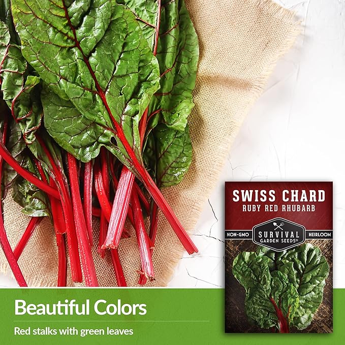 Survival Garden Seeds - Ruby Red Rhubarb Swiss Chard Seed for Planting - 3 Packs with Instructions to Plant and Grow Delicious Leafy Greens in Your Home Vegetable Garden - Non-GMO Heirloom Variety