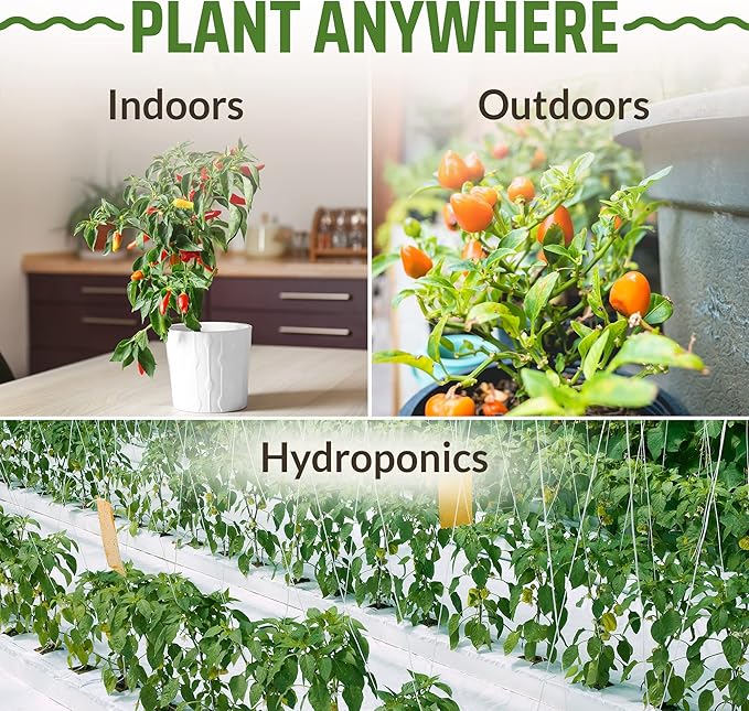 Rooted Acre 8 Varieties Pepper Seeds - Non GMO, USA, Heirloom Hot Pepper Seeds inc Ghost and Jalapeno - High Germinating Pepper Seeds for Planting Home Garden: Serrano, California Wonder, and More