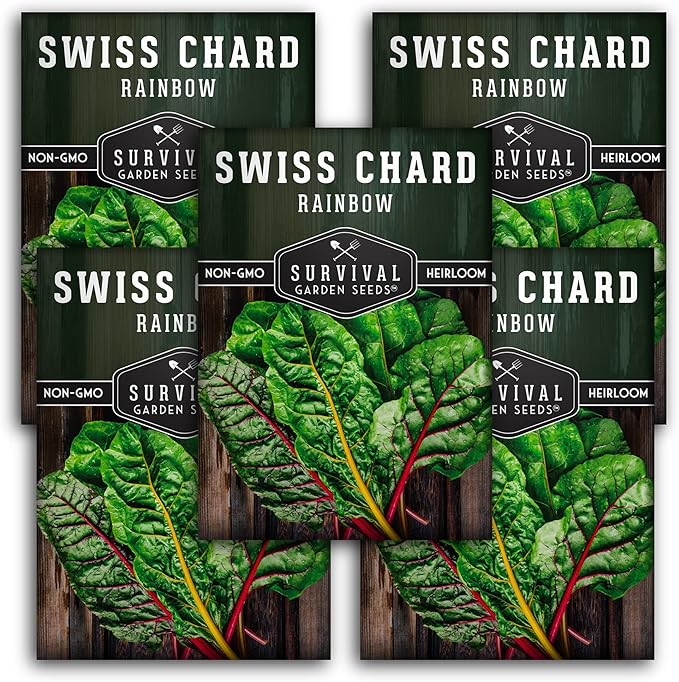 Survival Garden Seeds - Rainbow Swiss Chard Seed for Planting - 5 Packs with Instructions to Plant and Grow Colorful Stalked Vegetable Greens in Your Home Vegetable Garden - Non-GMO Heirloom Variety