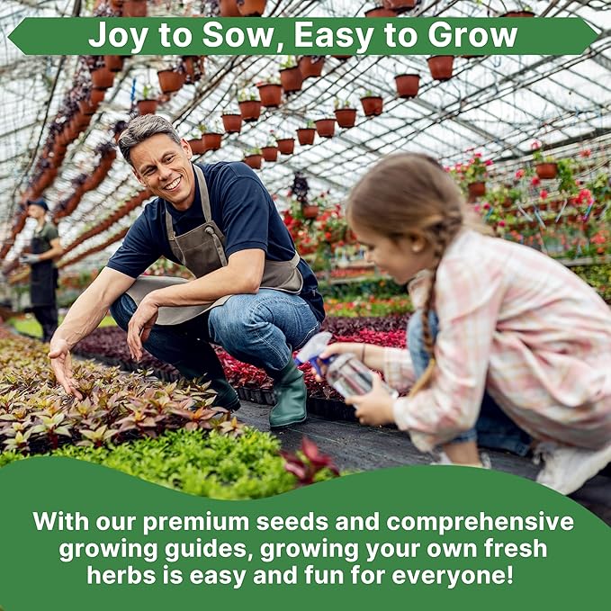 Sage Seeds Pack 1.5 G - Over 250 Non-GMO Heirloom Sage Seeds for Planting Herbs in Individual Seed Packet, Herbs Seeds for Planting Home Garden Indoor & Outdoor Gardening