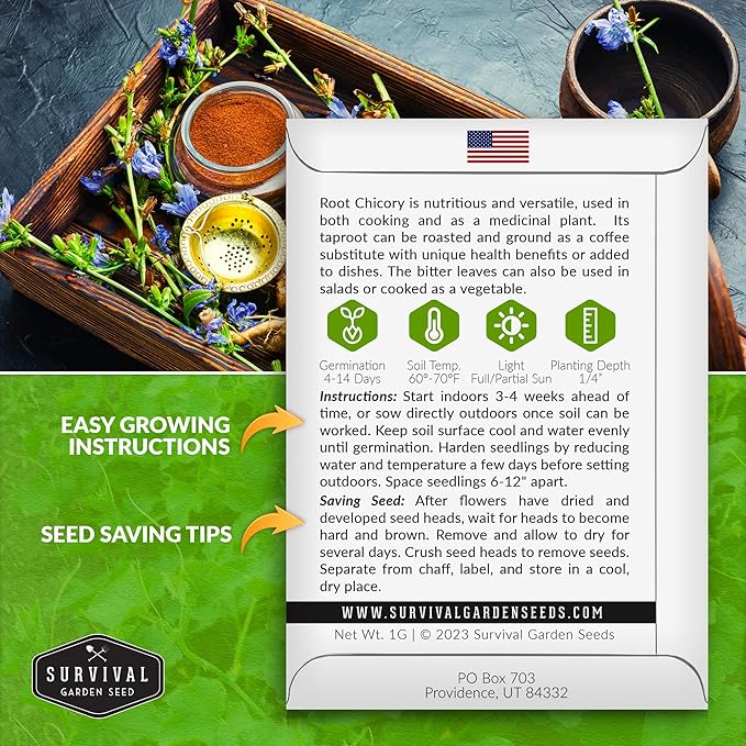 Root Chicory Seed for Planting - 5 Packets with Instructions to Plant and Grow Coffee Chicory in Your Home Vegetable Garden - Non-GMO Heirloom Variety - Survival Garden Seeds