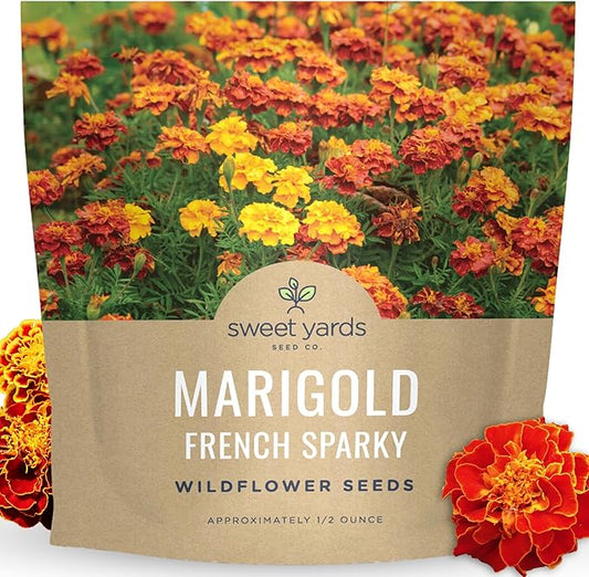 Marigold French Sparky - Large 1/2 Ounce Packet - 4,000 Flower Seeds for Planting - Tagetes patula