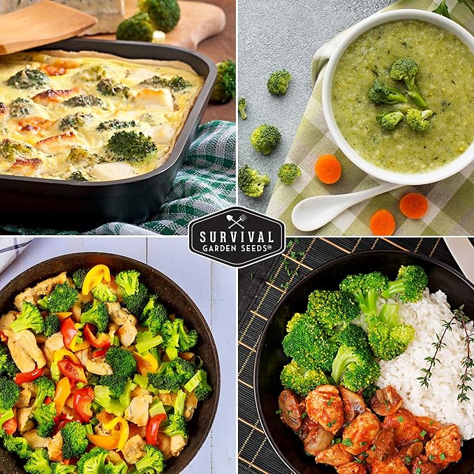 Waltham 29 Broccoli Seed for Planting - Packet with Instructions to Plant & Grow Cool Weather Broccoli in Your Home Vegetable Garden - Non-GMO Heirloom Variety - Survival Garden Seeds - 1 Pack