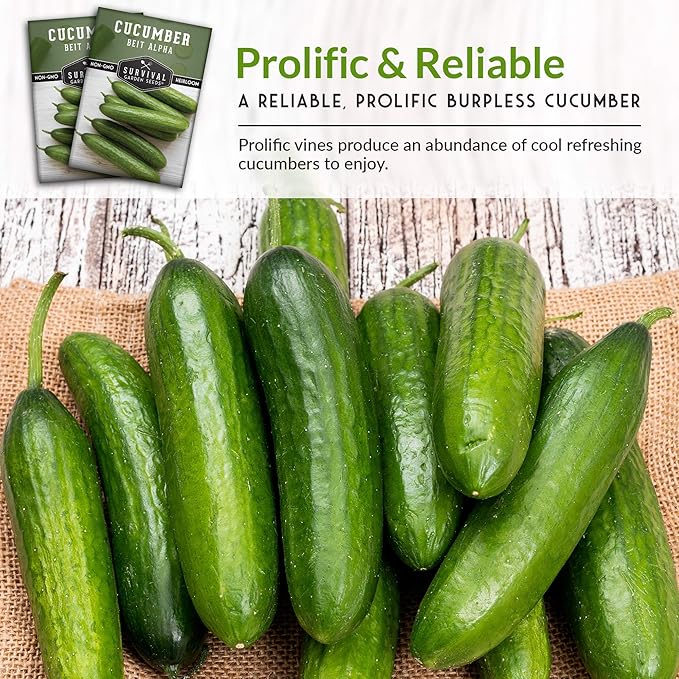 Survival Garden Seeds - Beit Alpha Cucumber Seed for Planting - Pack with Instructions to Plant and Grow Smooth Green Burpless Cucumbers in Your Home Vegetable Garden - Non-GMO Heirloom Variety