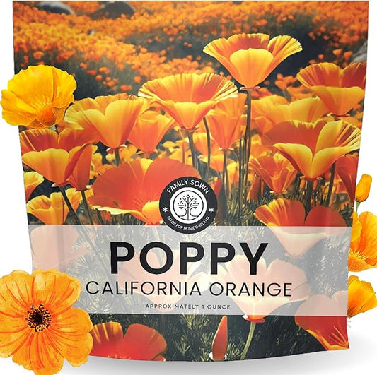 California Poppy Orange - Large 1 Ounce Packet - 20,000 Flower Seeds for Planting - Eschscholzia californica
