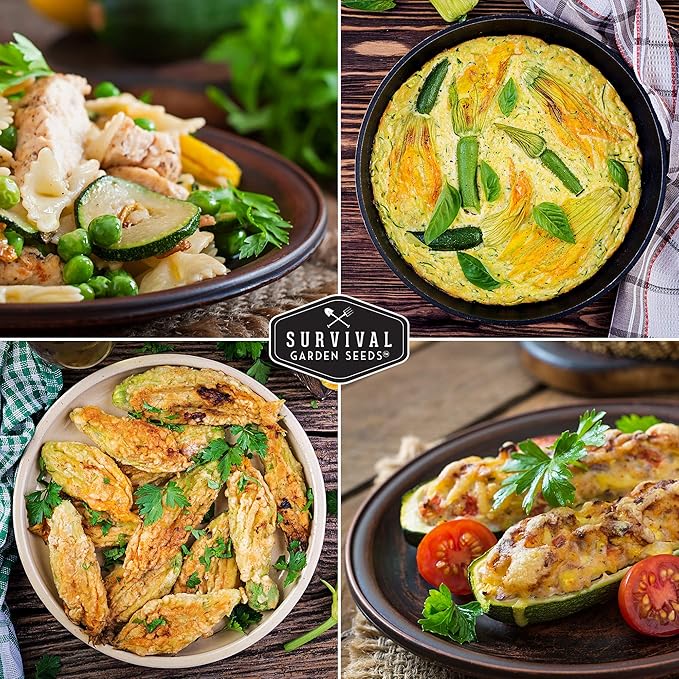 Survival Garden Seeds - Black Beauty Zucchini Seed for Planting -2 Packs with Instructions to Plant & Grow Dark Green Summer Squash Plants in Your Home Vegetable Garden - Non-GMO Heirloom Variety