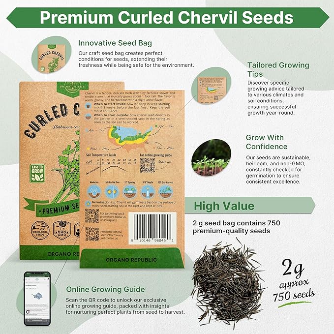 Curled Chervil Seeds Pack 2 G - 750 Non-GMO Heirloom Chervil Seeds for Planting Herbs in Individual Seed Packet, Herb Seeds for Planting Home Garden Indoor & Outdoor Gardening
