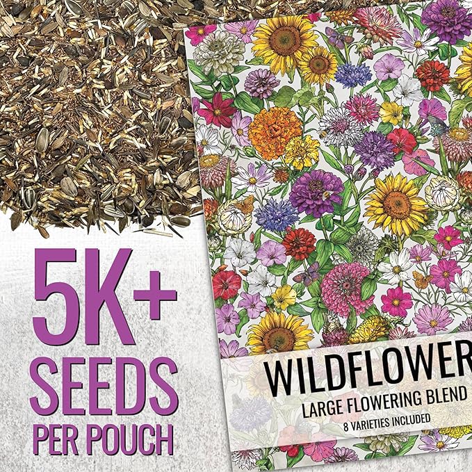 Seed Needs Garden Flower Seeds Large Blooms Mix Hummingbird and Butterfly | 5 Packs (1 Ounce Each) No Filler 7 Varieties Open Pollinated | Resealable Package Live Wild Flower Seed | Bulk