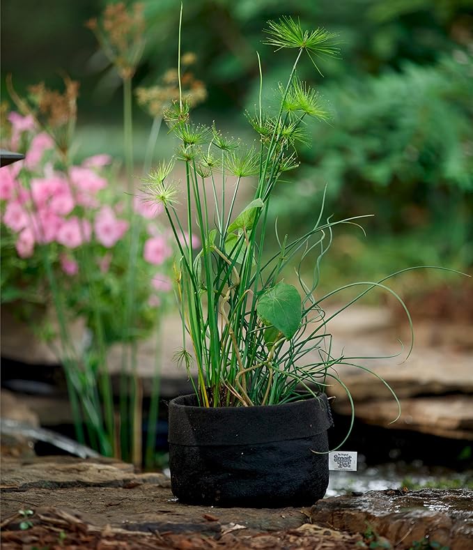 Smart Pot Pond Flexible Aquatic Plant Container for Water Gardening, 15 Gallon