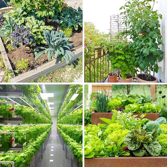 32 Varieties Vegetable Seeds for Planting, 8,600+ Heirloom Seeds Gift Pack, Non-GMO Veggies Seed Garden Kit for Indoor Outdoor Growing, Home Fresh Food Vegetable Supply