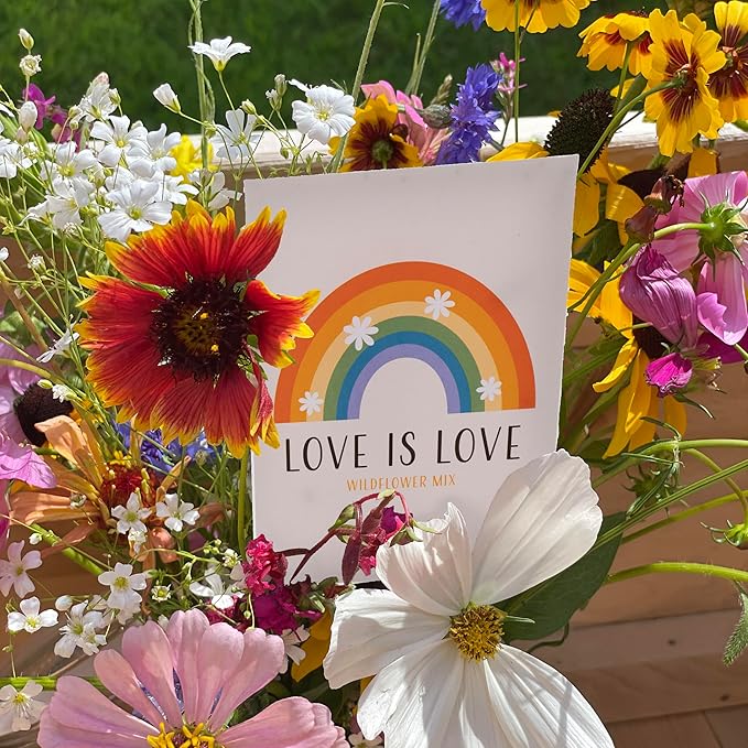 Love is Love Rainbow - 25 Wildflower Packets for Planting - Celebrate & Show Your Pride - Garden Seeds to Grow Live Plants - Bentley Seed Co.