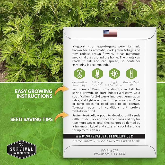 Common Mugwort Seed for Planting - 3 Packets with Instructions to Plant and Grow Artemisia Vulgaris in Your Home Vegetable Garden - Non-GMO Heirloom Variety - Survival Garden Seeds