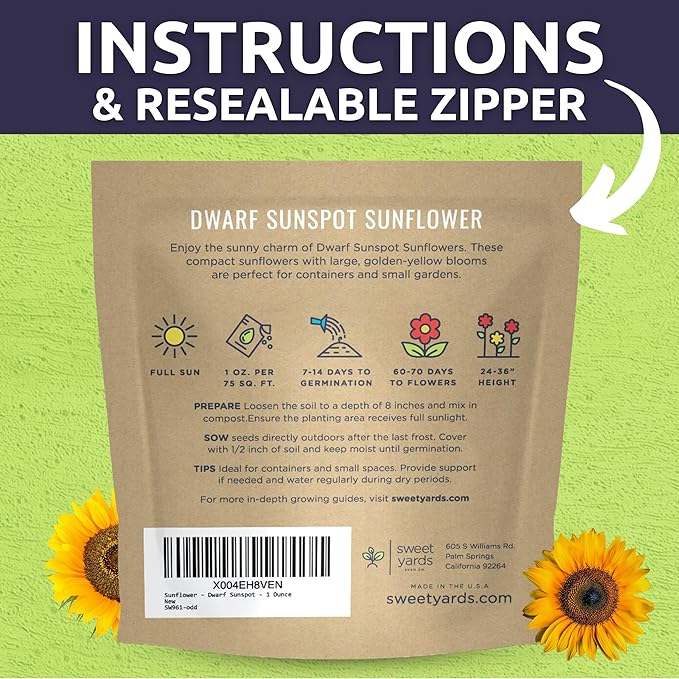 Dwarf Sunspot Sunflower - Large 1 Ounce Packet - 1,250 Flower Seeds for Planting - Helianthus annuus