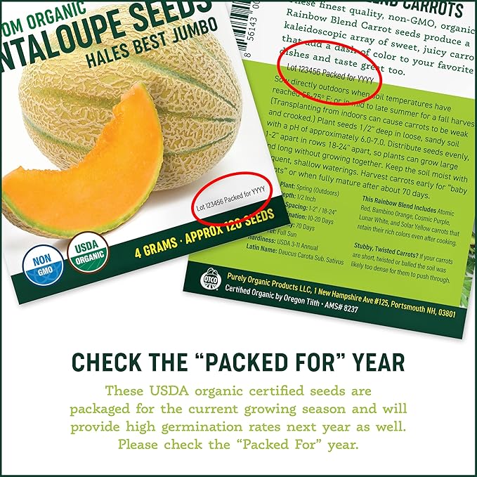 Organic Onion Seeds (Walla Walla) - Approx 200 Seeds - USDA Organic, Non-GMO, Open Pollinated, Heirloom, USA Origin